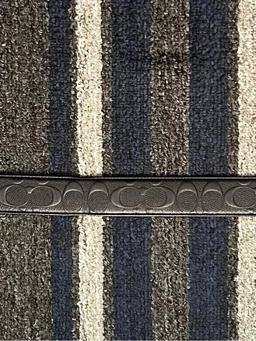 Coach belt comes